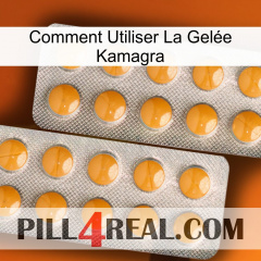 Comment Utiliser La Gelée Kamagra levitra2